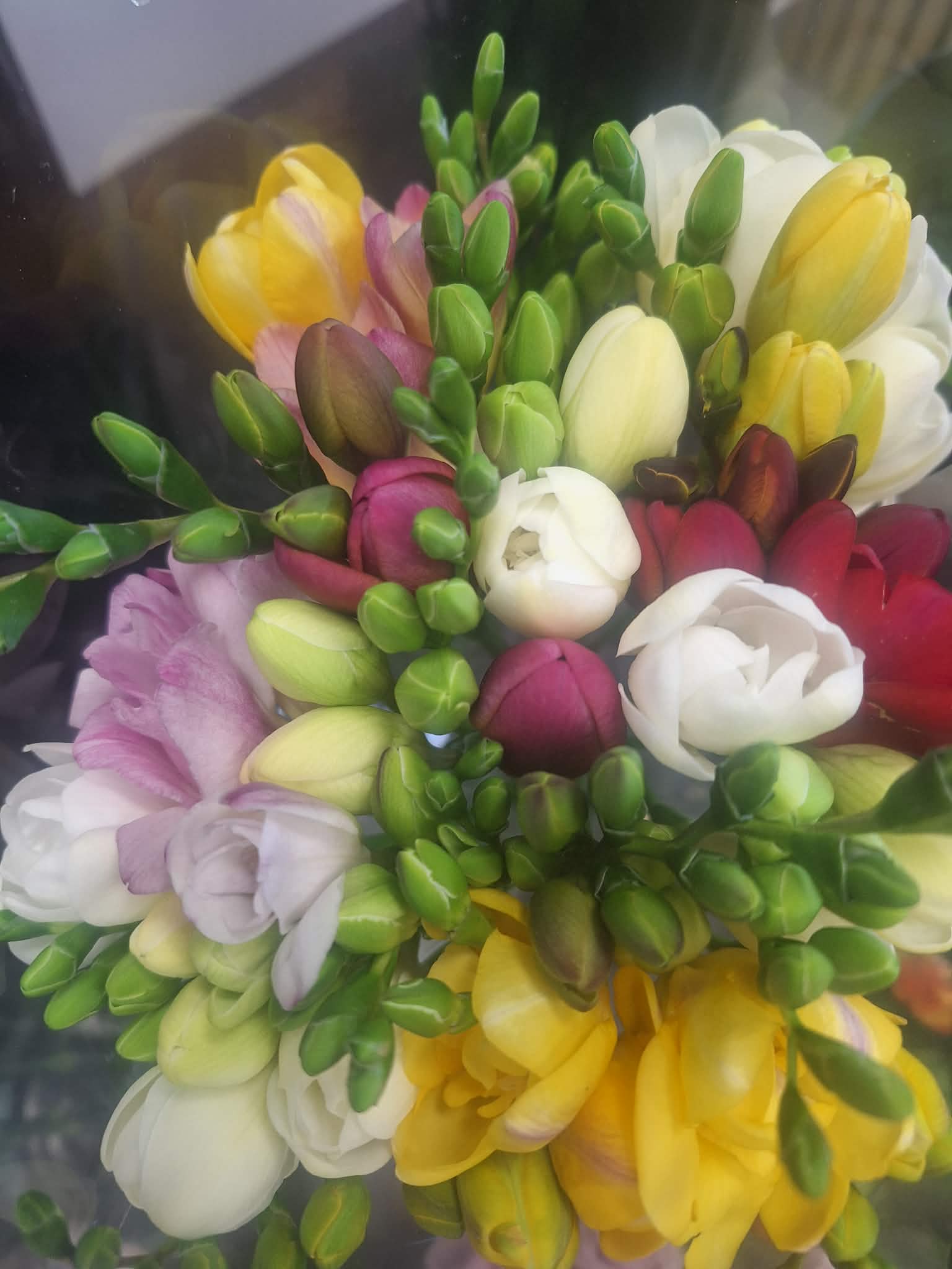 Spalvinga frezijų puokštė Salininkuose - kvapnios pavasarinės gėlės iš Royal Fox Flowers Vilniuje