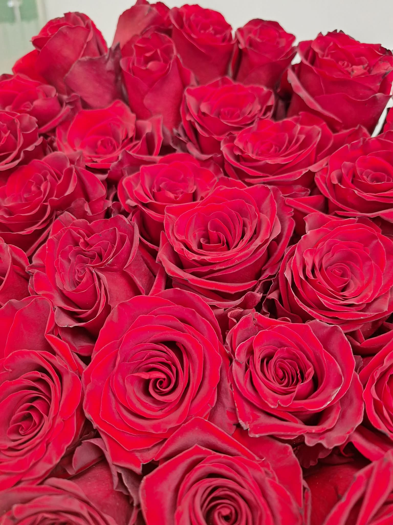 Raudonų rožių puokštė Juodšiliuose - klasikinės meilės gėlės iš Royal Fox Flowers