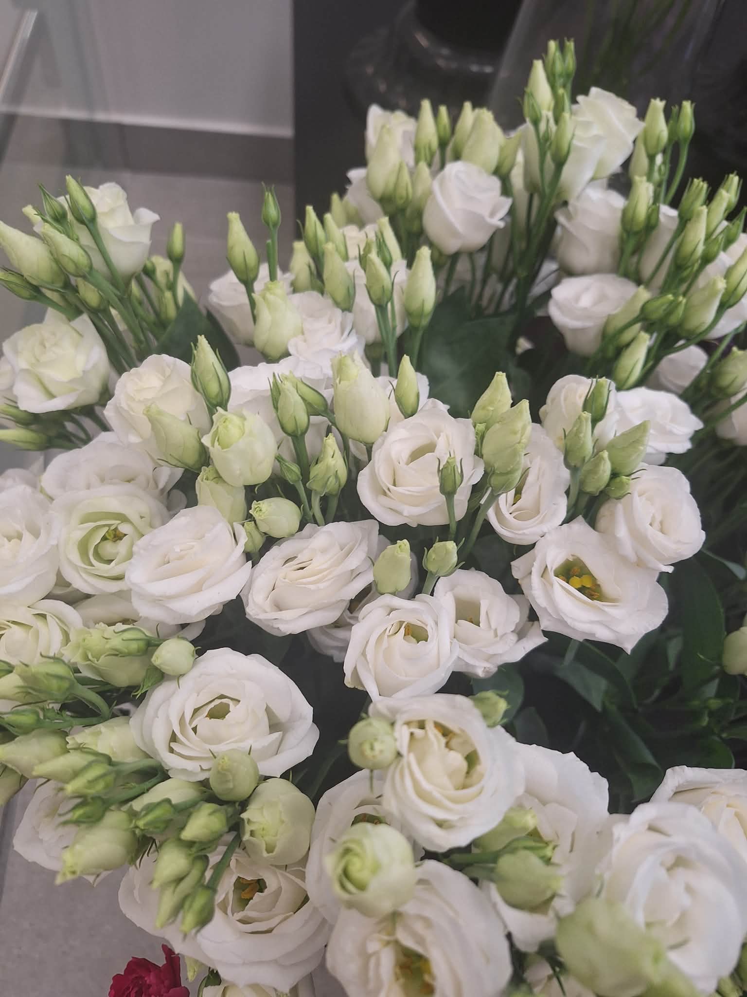 Baltų eustomų puokštė Juodšiliuose - elegantiškos baltos gėlės vestuvėms ir progoms iš Royal Fox Flowers